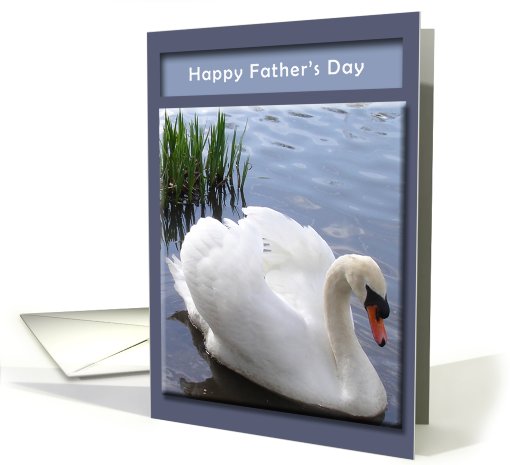 Father's Day - swan card (430066)