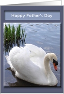 Father’s Day - swan card