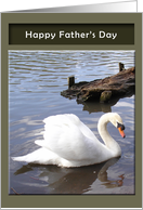 Father's Day - bird...