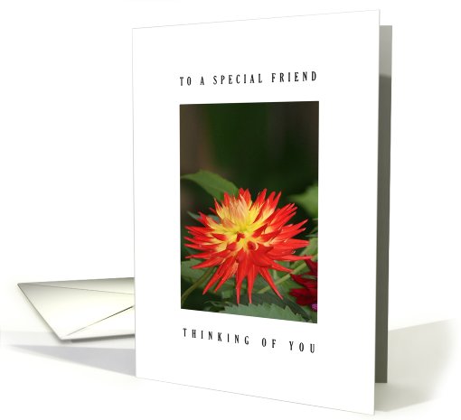 Special friend - Dahlia flower card (557651)