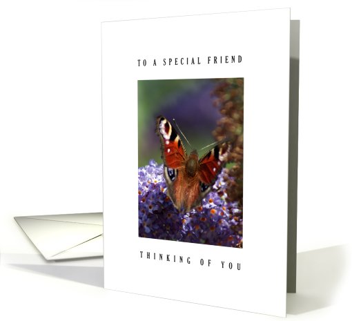 Special friend - Butterfly card (557653)