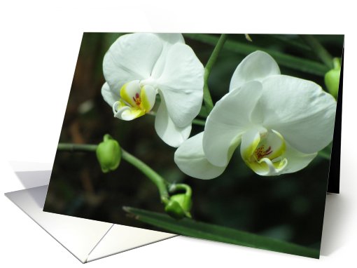 Wedding card (410887)