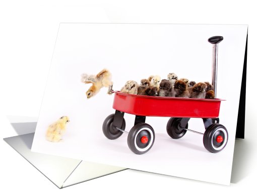 Runaway Chick in a Wagon card (410982)