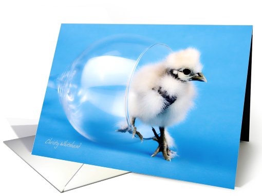 Lola in a wine glass card (413363)