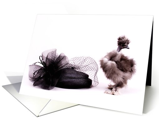 Star chicken and vintage hat card (413365)
