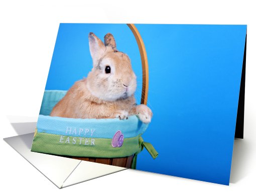 Happy Easter (bunny in basket) card (413372)