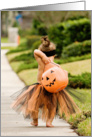 Trick or treating in tutu card