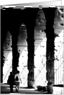 Couple walking at the Coliseum card