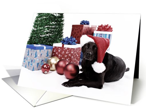 Black lab with Christmas presents & tree (vintage coloring) card