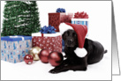 Black lab with Christmas presents & tree (vintage coloring) card