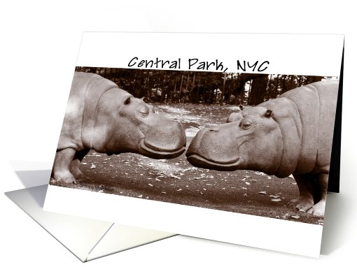 Central Park Hippos (Sepia) card (414462)