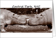 Central Park Hippos (Sepia) card
