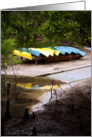 Line of canoes at Manatee Springs State Park card