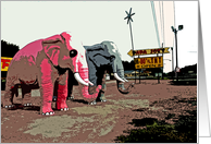 Elephants on the roadside card