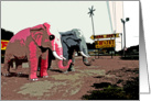 Elephants on the roadside card