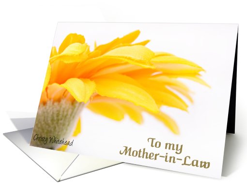 Happy Mother's Day, for Mother in Law. Orange Daisy card (417569)