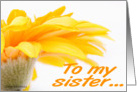 Happy Birthday for sister. Orange Daisy card