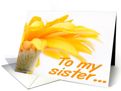 To my sister... Orange Daisy card (417577)