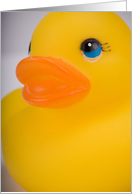 Rubber Ducky Closeup card
