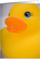 Miss you(Rubber Ducky Closeup) card