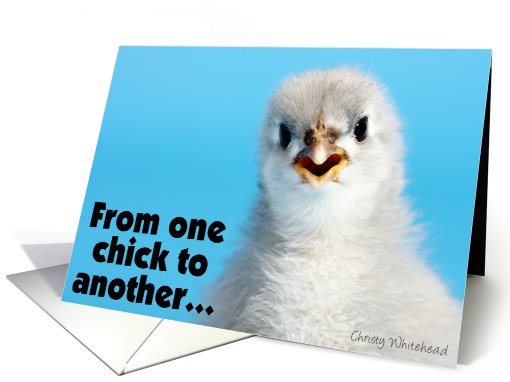 From one chick to another,  Hysterectomy  (Talkative grey Cochin) card