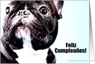 Feliz Cumpleanos ...