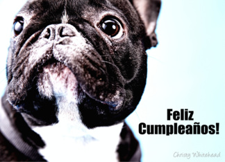 Feliz Cumpleanos ...