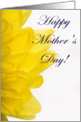 Happy Mother’s Day (yellow petals) card