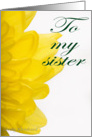 To my sister... (yellow petals) card