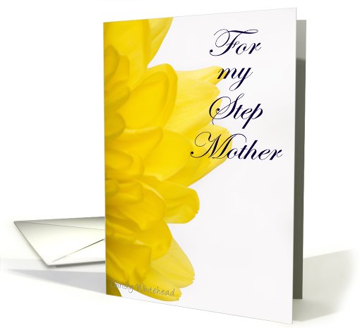 Happy Mother's Day STEP MOTHER (yellow petals) card (423260)