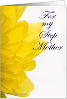 Happy Birthday STEP MOTHER (yellow petals) card