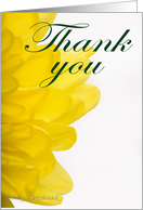 Thank You for Volunteer Work (yellow petals) card