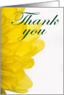 Thank You for Volunteer Work (yellow petals) card