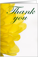 Thank You Florist (yellow petals) card