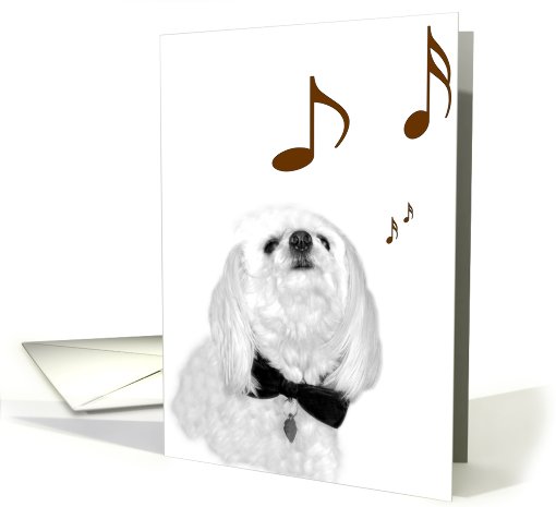The Singing Dog card (411913)