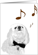 The Singing Dog