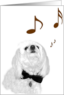 The Singing Dog card