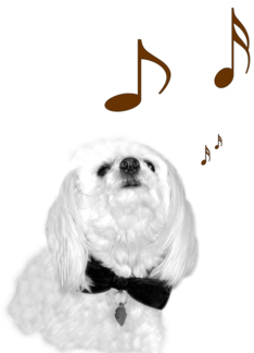 The Singing Dog