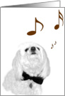 The Singing Dog card