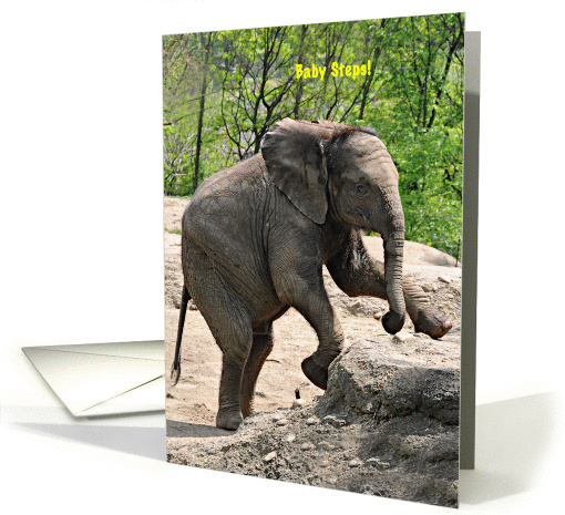 Get Well, Baby African Elephant card (637679)