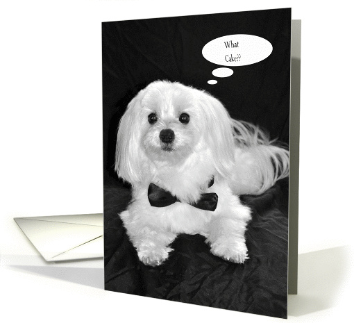 What Birthday Cake card (788461)