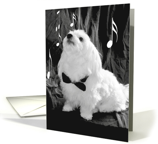 The Singing Dog card (856936)