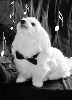 The Singing Dog