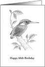60th Birthday Card With Hand Drawn Kingfisher On A Branch, Custom Text card