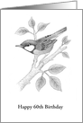 60th Birthday, Blue Titmouse On Branch, Custom Text card