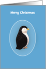 Merry Christmas Penguin Card, Custom Text card
