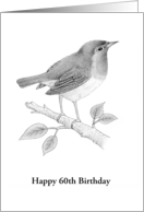 60th Birthday Card With A Fine Art Drawing Of A Robin, Custom Text card