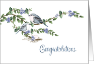 Soon to Arrive New Baby Boy Blue Bird Congratulations card