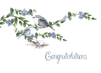 Soon to Arrive New Baby Boy Blue Bird Congratulations