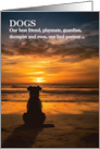 Loss of a Dog Pet Sympathy Beach Theme Silhouette card